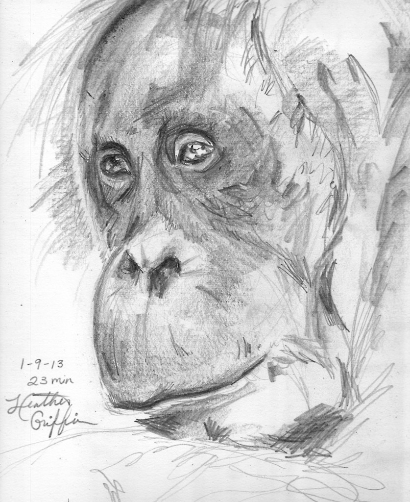 Орангутан карандашом
